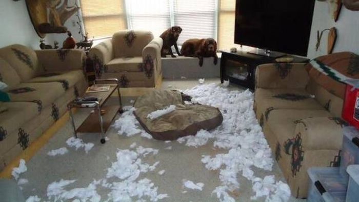 Unfortunate Situations (31 pics)