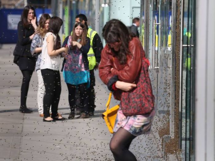 Unfortunate Situations (31 pics)