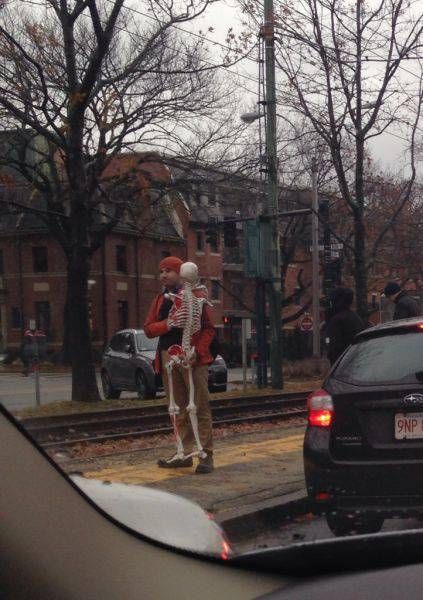 Daily Pictures. Part 1 (64 pics)