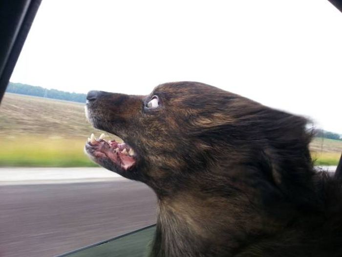 Daily Pictures. Part 1 (64 pics)