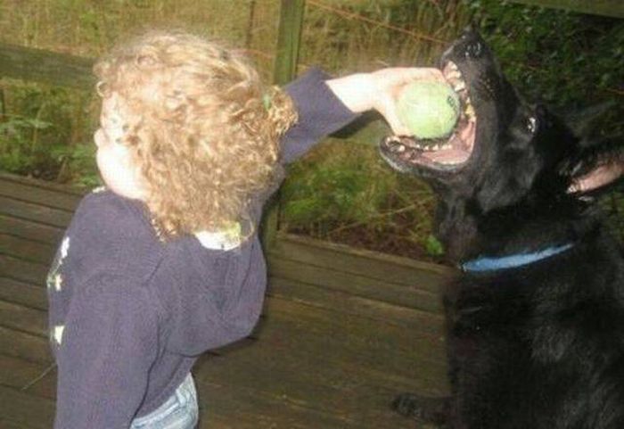 Daily Pictures. Part 1 (64 pics)