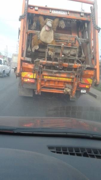 Daily Pictures. Part 1 (64 pics)