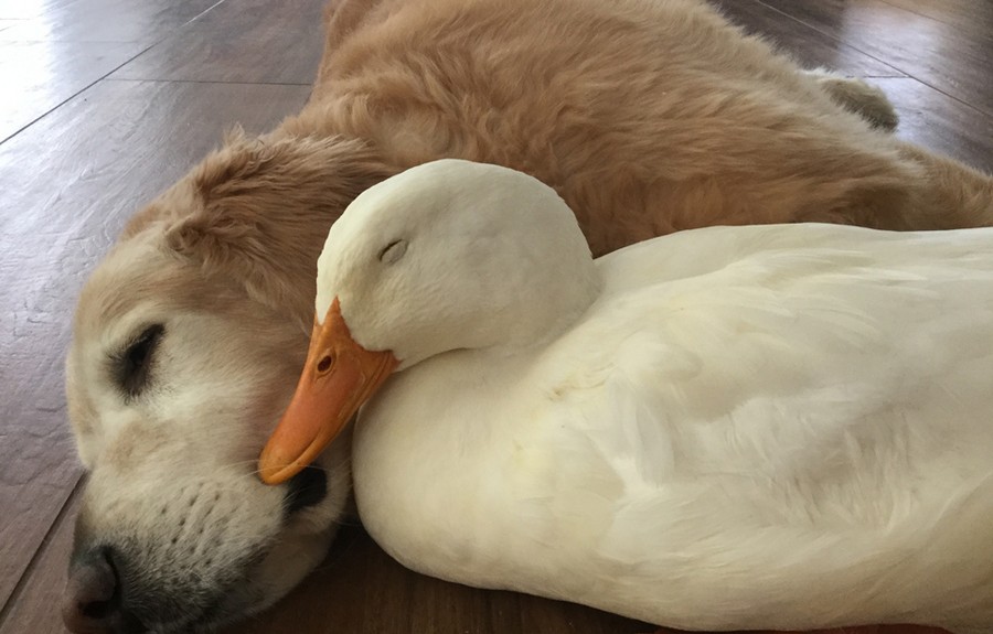 Daily Pictures. Part 1 (64 pics)