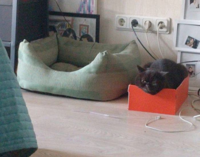 Daily Pictures. Part 1 (64 pics)