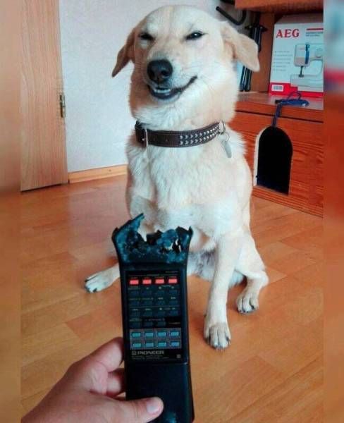 Daily Pictures. Part 1 (64 pics)