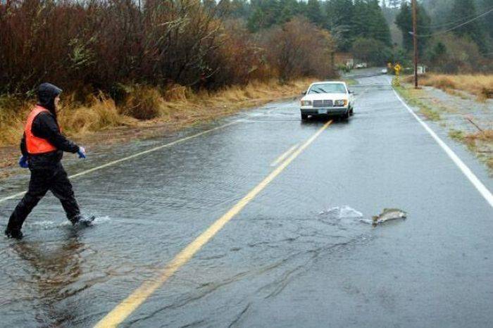 Daily Pictures. Part 1 (64 pics)