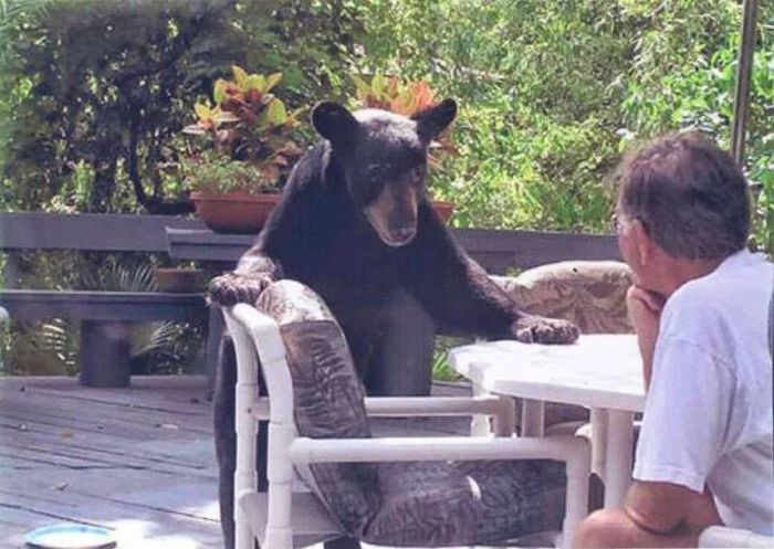 Daily Pictures. Part 1 (64 pics)