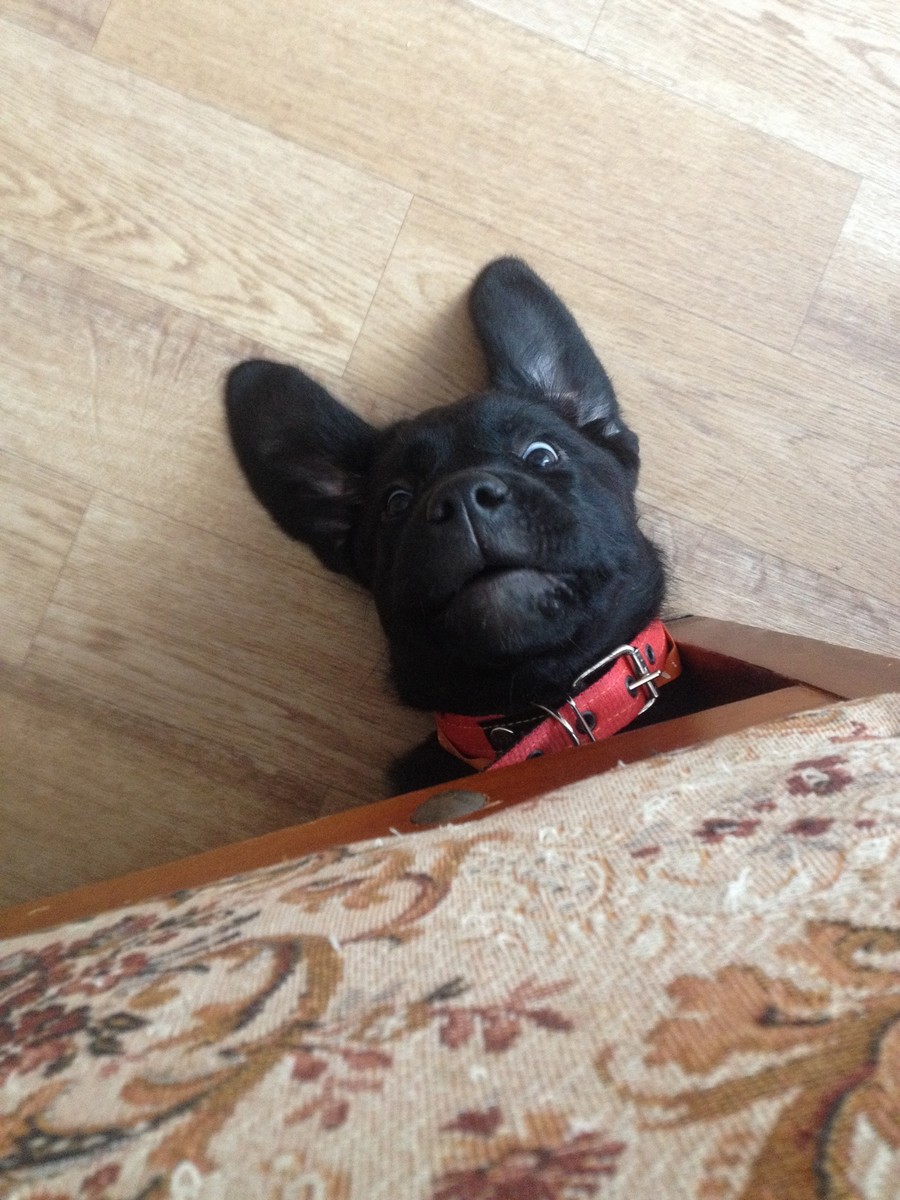 Daily Pictures. Part 2 (63 pics)