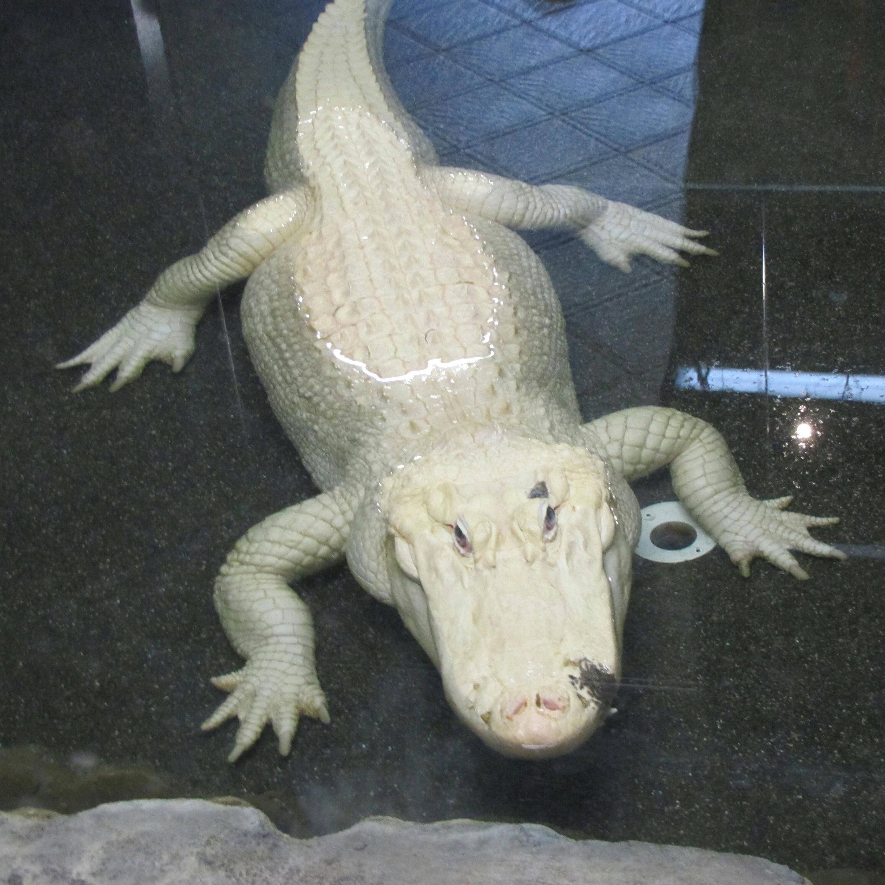 Daily Pictures. Part 1 (64 pics)