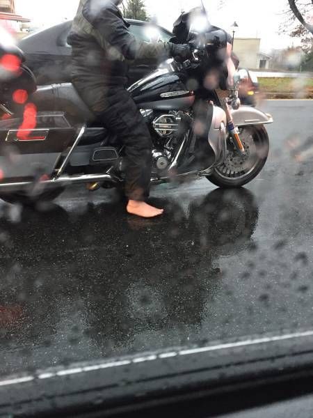 Daily Pictures. Part 1 (64 pics)