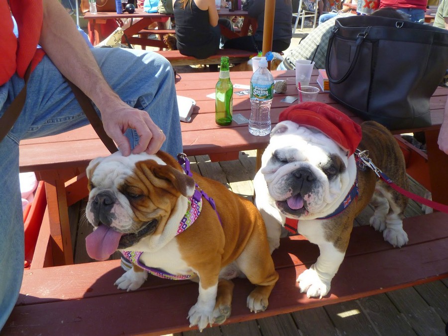 Daily Pictures. Part 1 (64 pics)