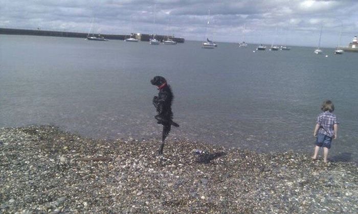 Daily Pictures. Part 1 (64 pics)