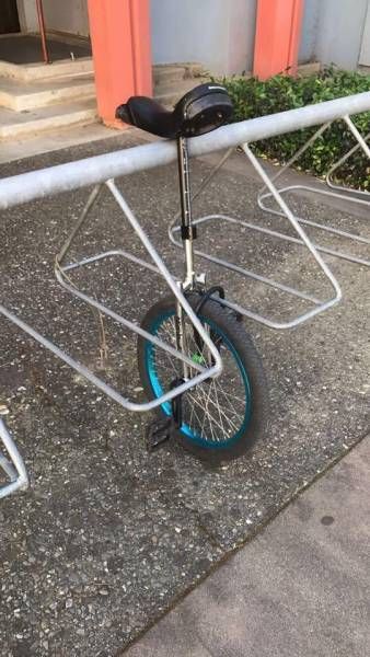 Daily Pictures. Part 1 (64 pics)