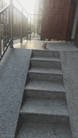 Acid GIFs, November 27 (25 gifs) Acid GIFs, November 27 (25 gifs)