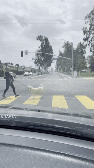 Acid GIFs, November 27 (25 gifs) Acid GIFs, November 27 (25 gifs)