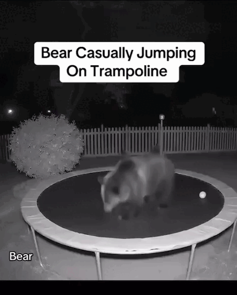 Acid GIFs, November 27 (25 gifs) Acid GIFs, November 27 (25 gifs)