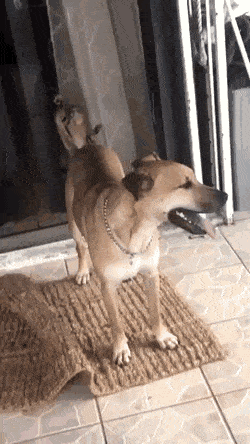 Acid GIFs, November 27 (25 gifs) Acid GIFs, November 27 (25 gifs)