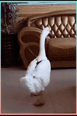 Acid GIFs, November 27 (25 gifs) Acid GIFs, November 27 (25 gifs)