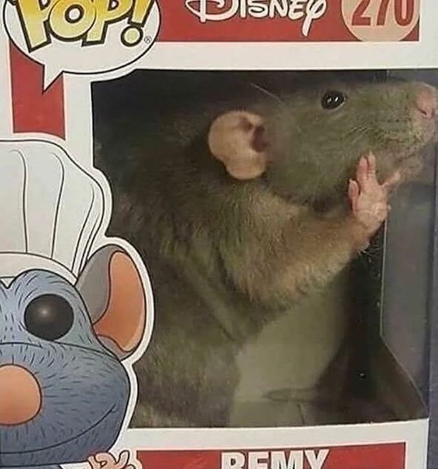 Strange Finds And Situations (31 pics)