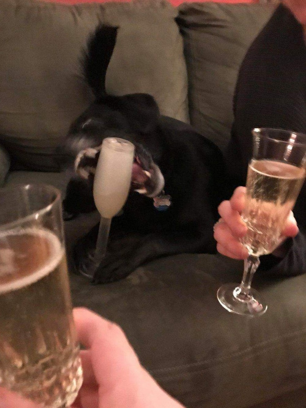 Unfortunate Situations (23 pics)