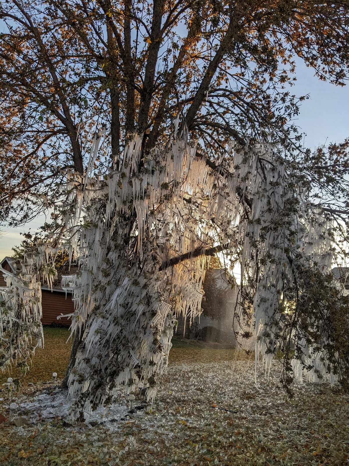 Unfortunate Situations (23 pics)