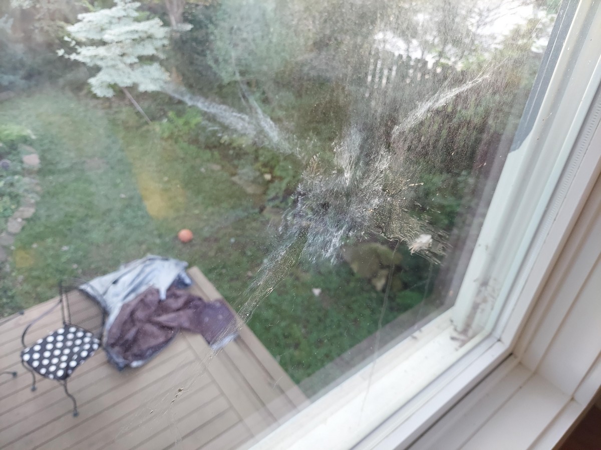 Unfortunate Situations (23 pics)