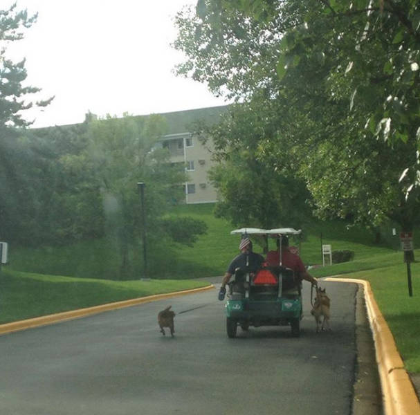 Resourceful People (23 pics)