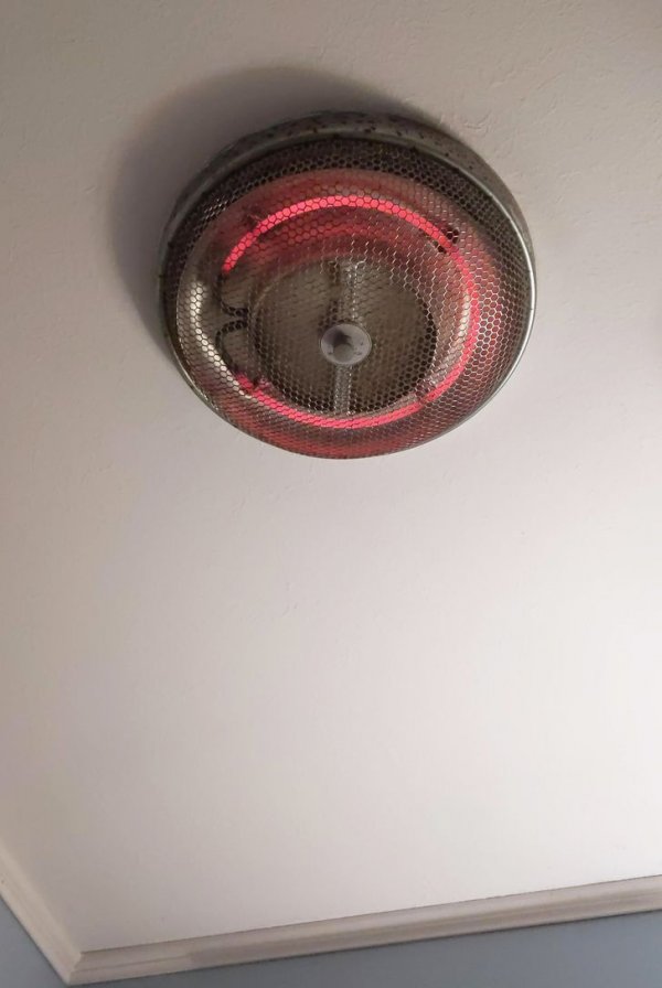 Immortal Things From The Past (19 pics)