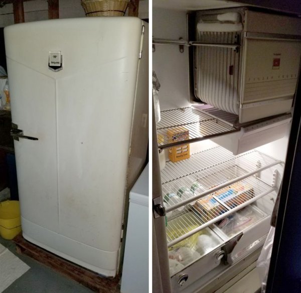 Immortal Things From The Past (19 pics)