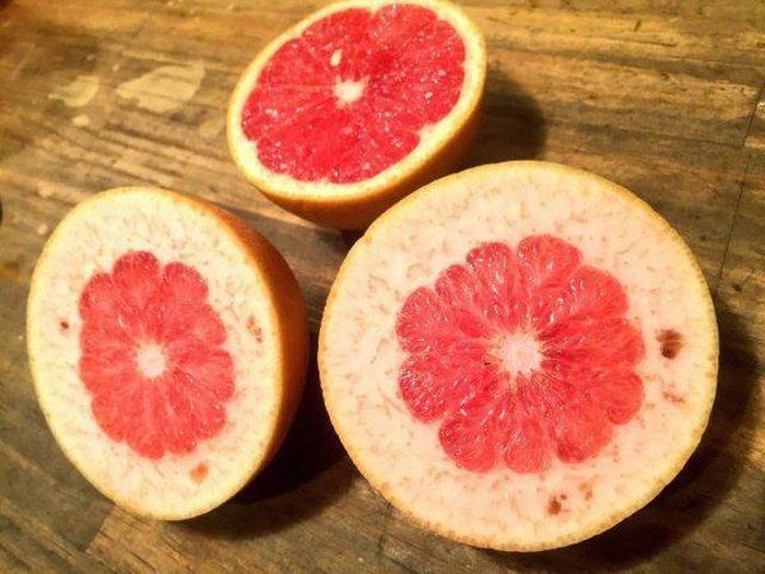 Daily Pictures. Part 1 (68 pics)