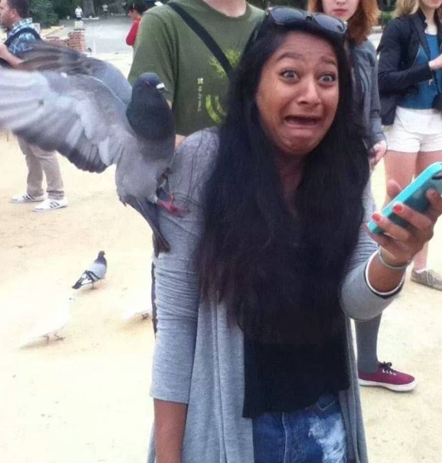 Daily Pictures. Part 1 (68 pics)