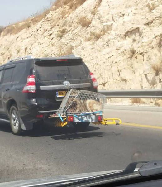 Daily Pictures. Part 1 (68 pics)