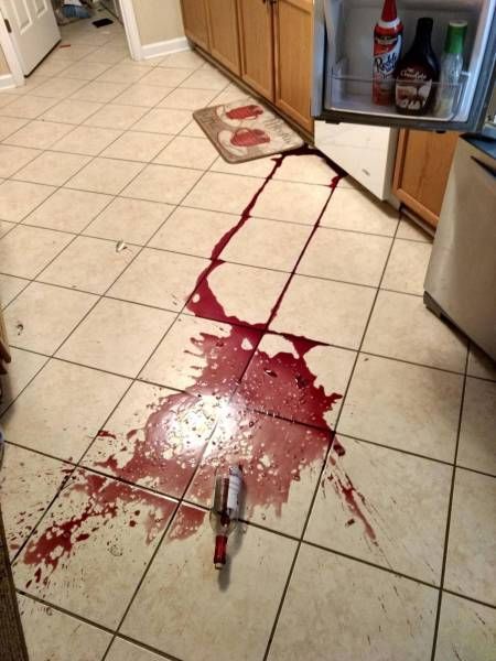 Daily Pictures. Part 1 (68 pics)