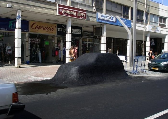 Daily Pictures. Part 1 (68 pics)