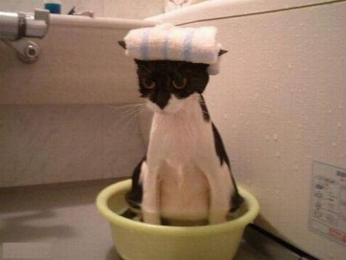 Daily Pictures. Part 1 (68 pics)