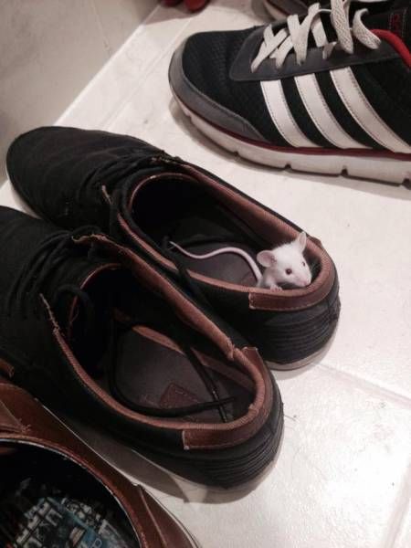 Daily Pictures. Part 1 (68 pics)