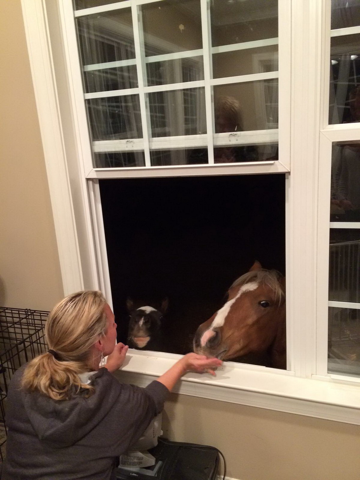 Daily Pictures. Part 1 (68 pics)