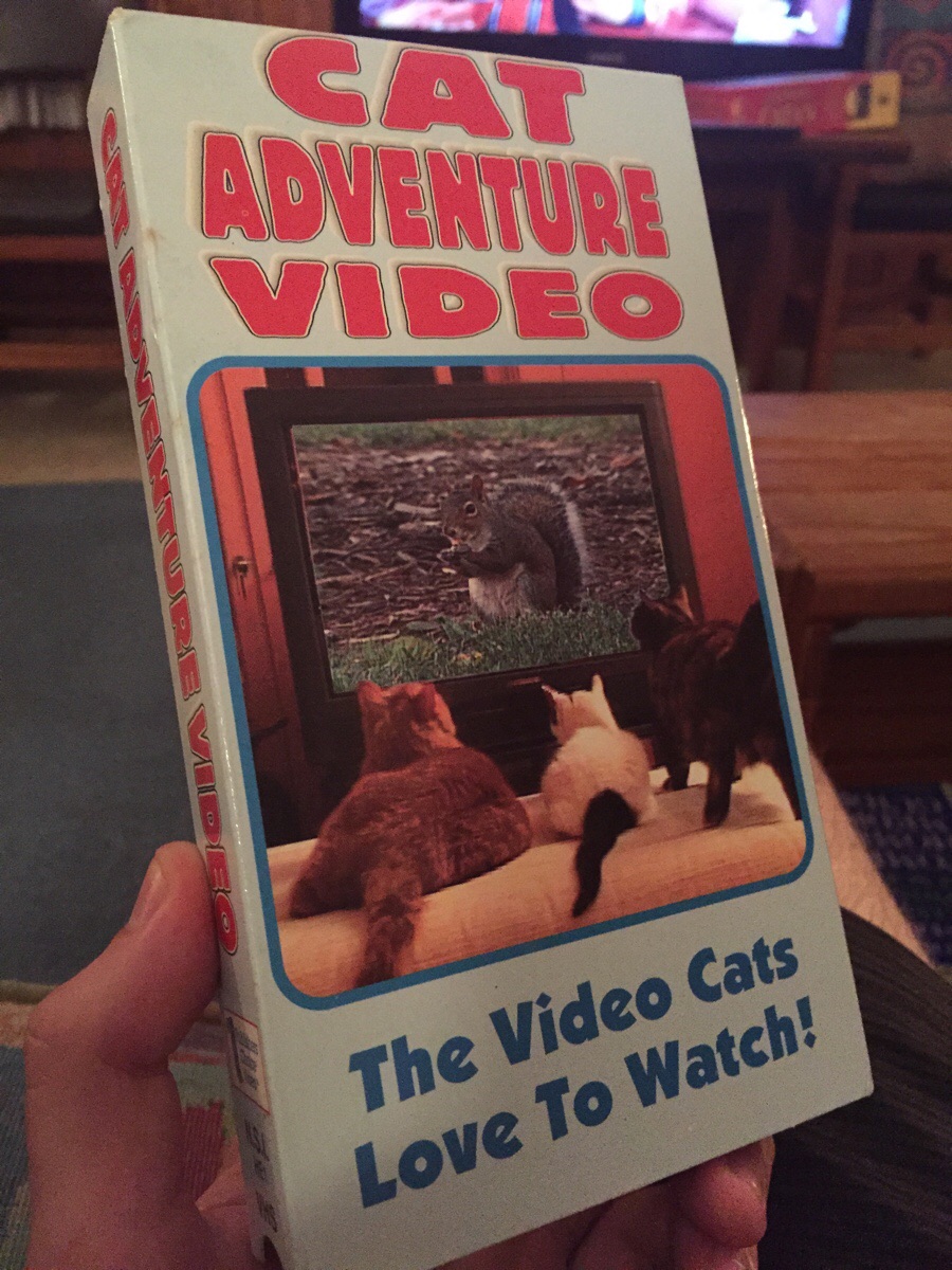 Daily Pictures. Part 1 (68 pics)