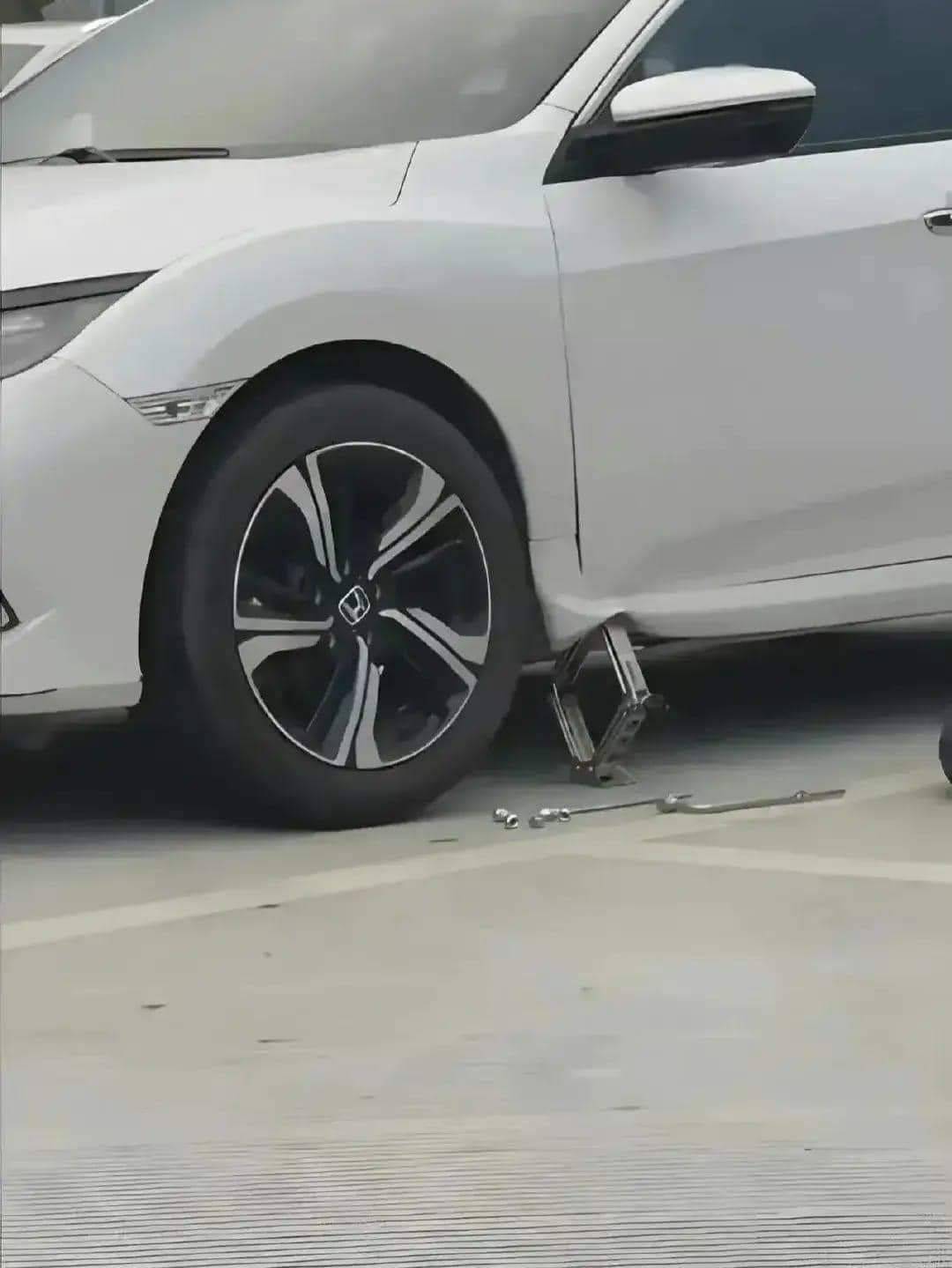 Daily Pictures. Part 1 (68 pics)