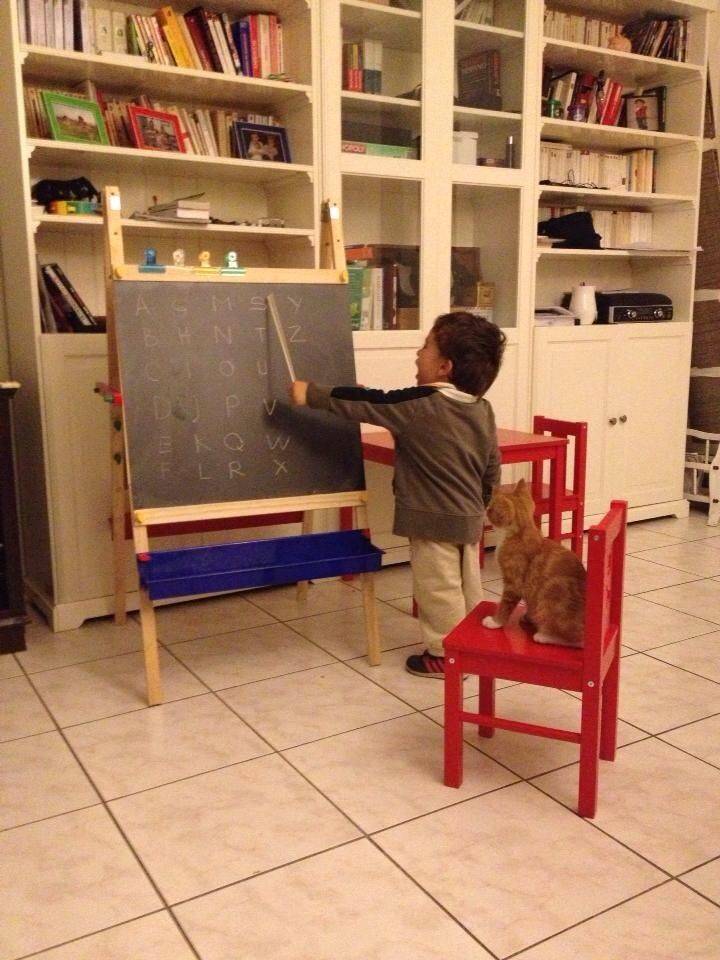 Daily Pictures. Part 1 (68 pics)