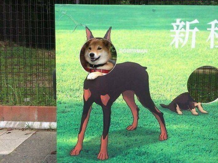 Daily Pictures. Part 2 (67 pics)