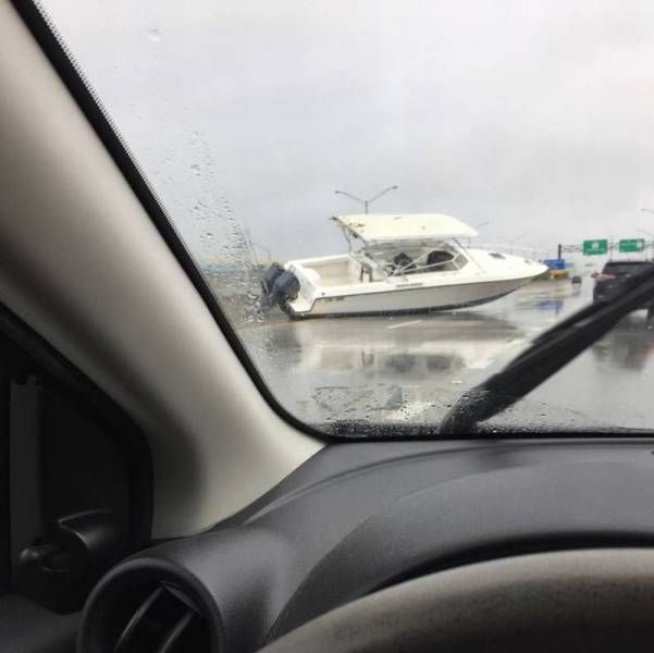 Daily Pictures. Part 2 (67 pics)