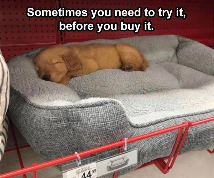 Daily Pictures. Part 2 (67 pics)