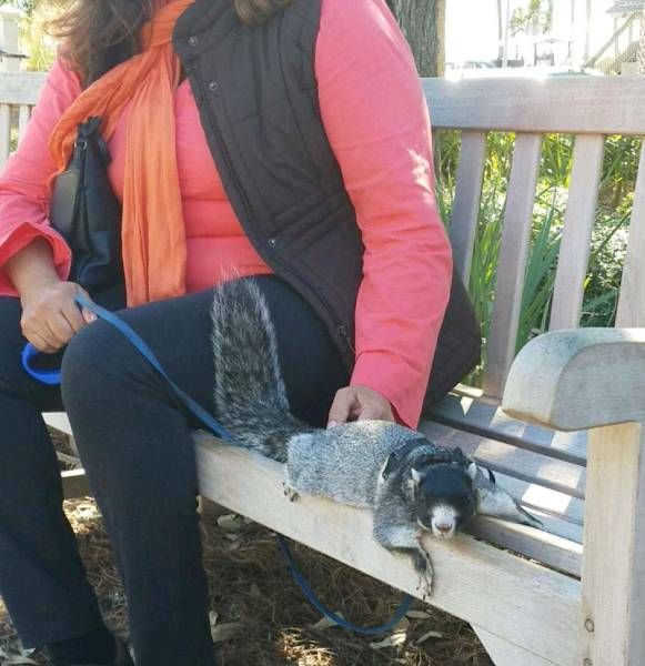 Daily Pictures. Part 2 (67 pics)