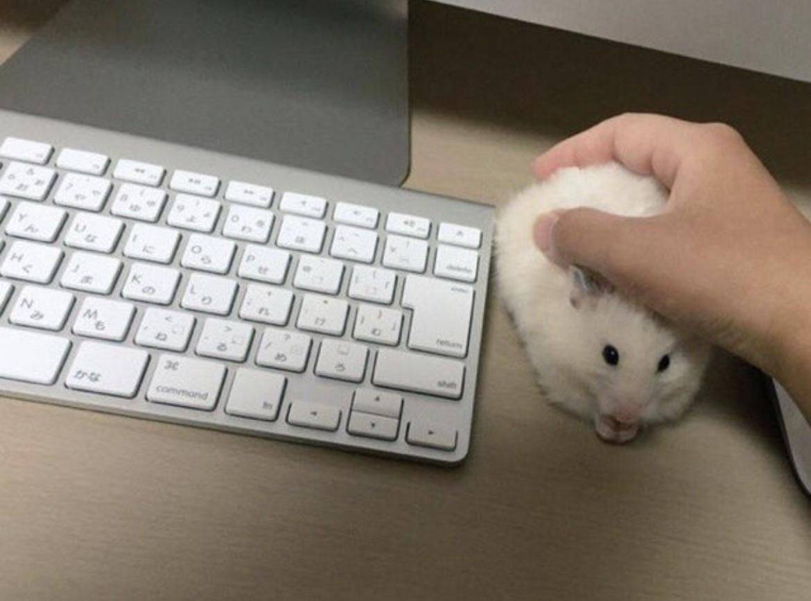 Daily Pictures. Part 1 (68 pics)