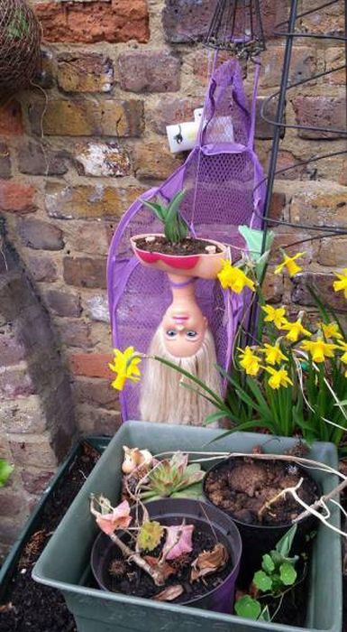 Daily Pictures. Part 2 (67 pics)