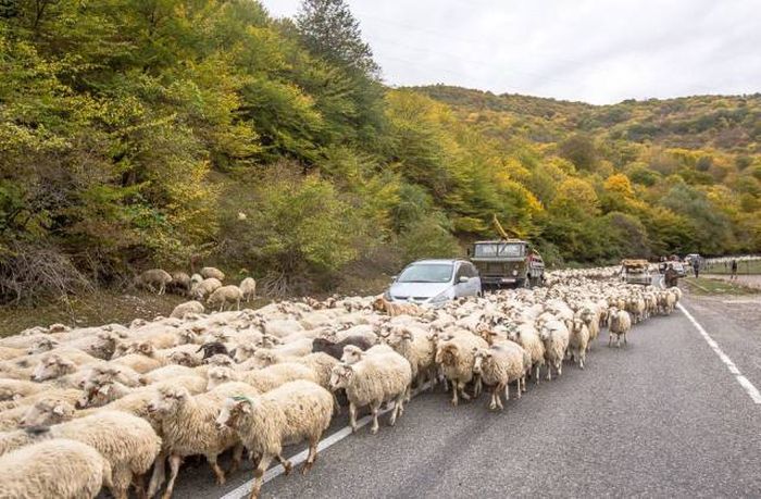 Daily Pictures. Part 2 (67 pics)