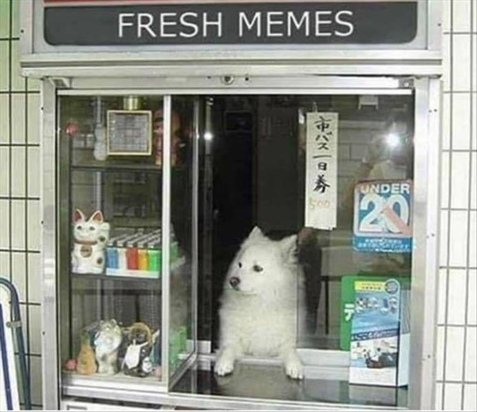 Daily Pictures. Part 2 (67 pics)