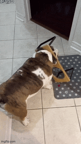 Acid GIFs, November 28 (25 gifs)