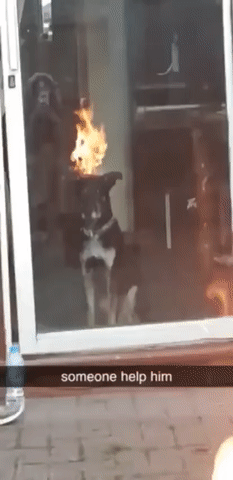 Acid GIFs, November 28 (25 gifs)